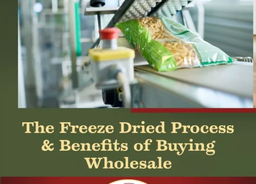 The Freeze Drying Process and Benefits of Buying Wholesale