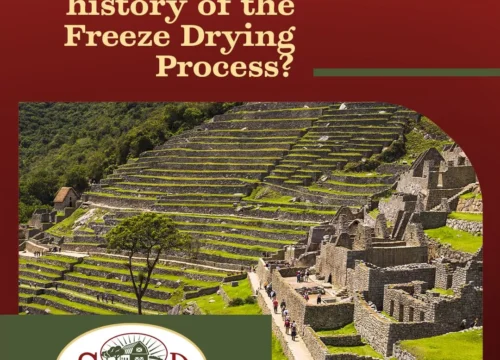 What Is the History of the Freeze Drying Process?